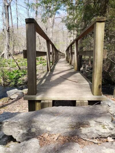Stonebridge Waterfowl Preserve - Wilton, CT