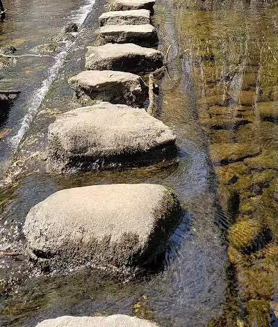 Stonebridge Waterfowl Preserve - Wilton, CT