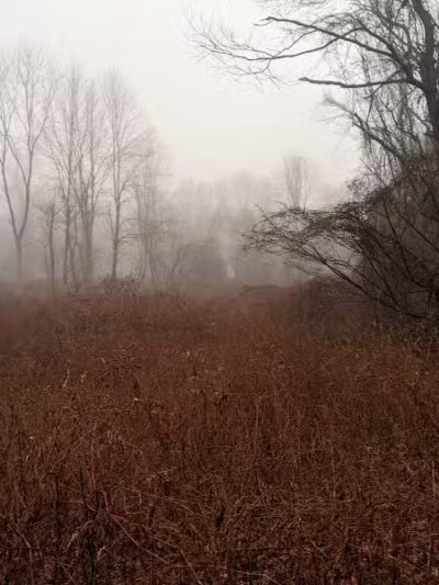 Stonebridge Waterfowl Preserve - Wilton, CT
