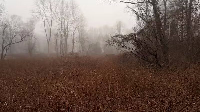 Stonebridge Waterfowl Preserve - Wilton, CT