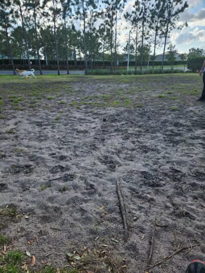 Dog Park - Wimauma, FL