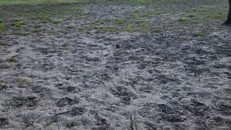 Dog Park - Wimauma, FL