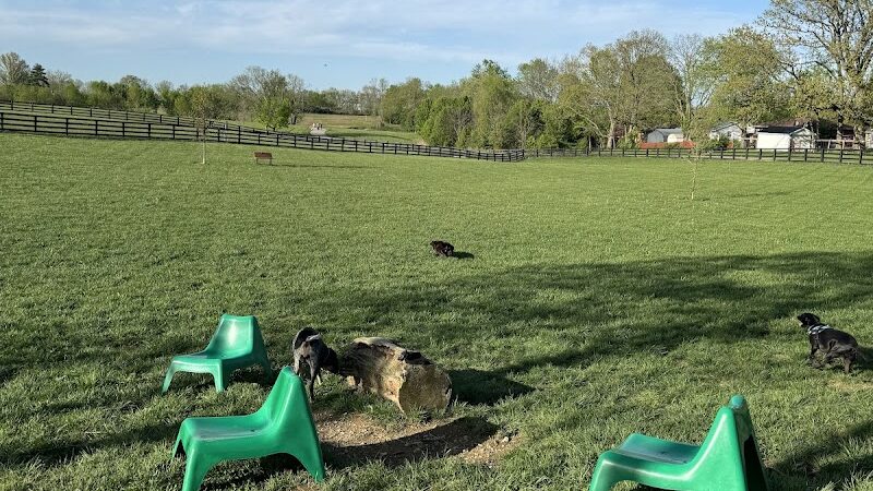 Legacy Dog Park - Winchester, KY