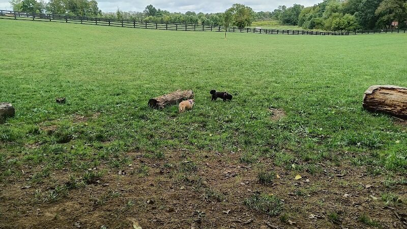 Legacy Dog Park - Winchester, KY