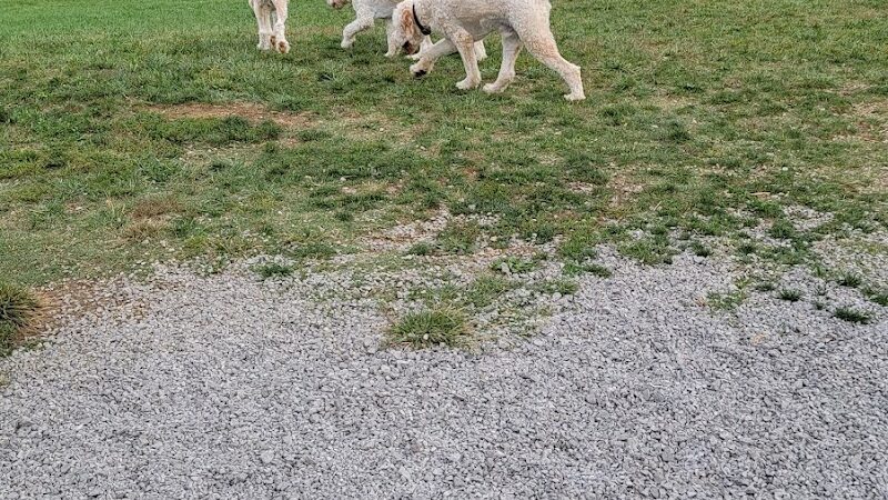 Legacy Dog Park - Winchester, KY