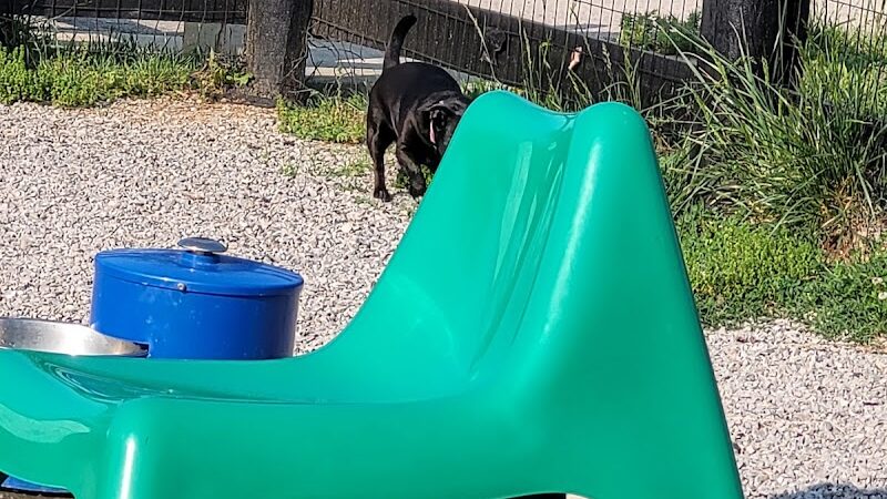 Legacy Dog Park - Winchester, KY