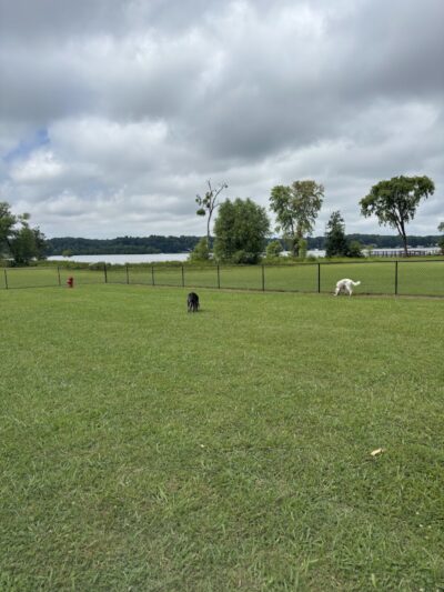 Winchester Dog Park - Winchester, TN