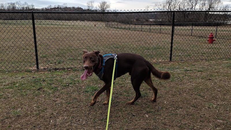 Winchester Dog Park - Winchester, TN