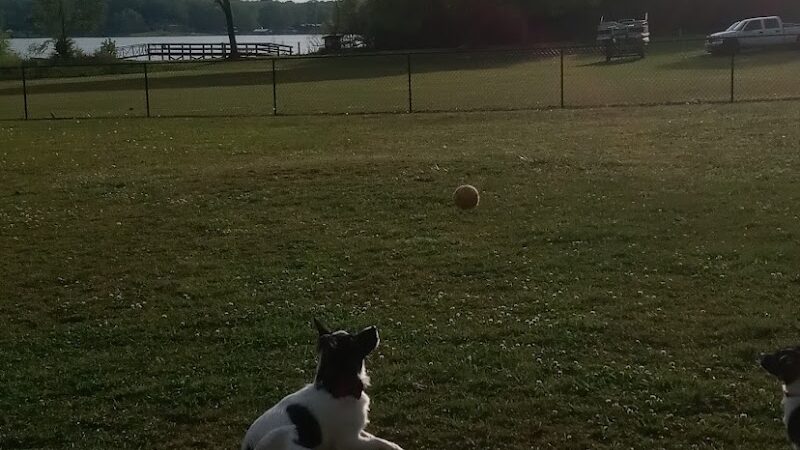 Winchester Dog Park - Winchester, TN