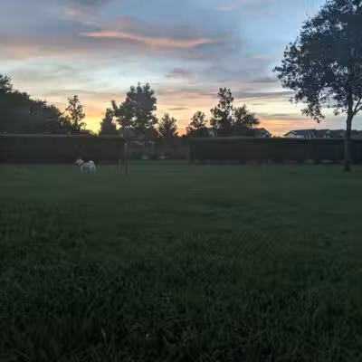 Vineyard Square Bark Park - Windermere, FL
