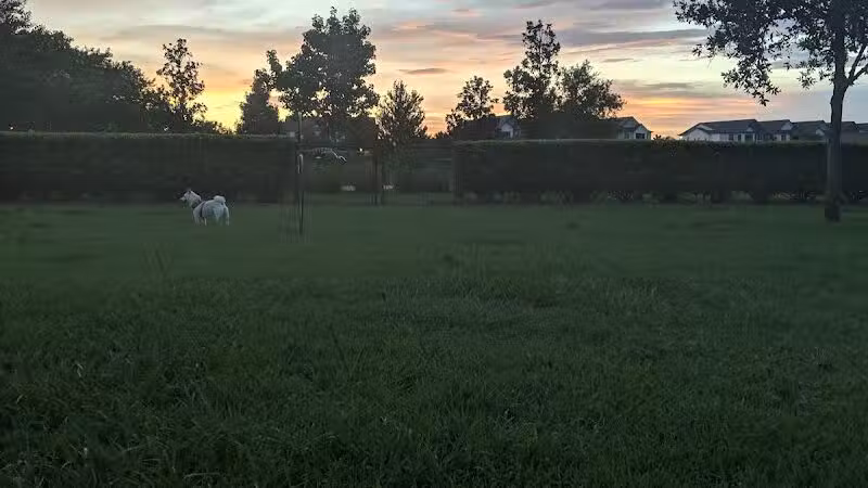 Vineyard Square Bark Park - Windermere, FL
