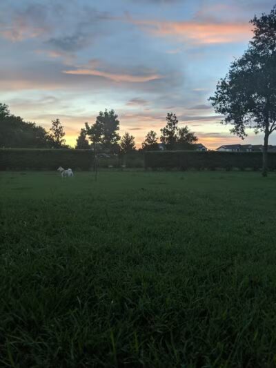 Vineyard Square Bark Park - Windermere, FL