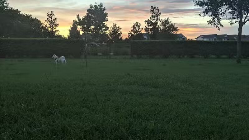 Vineyard Square Bark Park - Windermere, FL