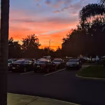 Vineyard Square Bark Park - Windermere, FL