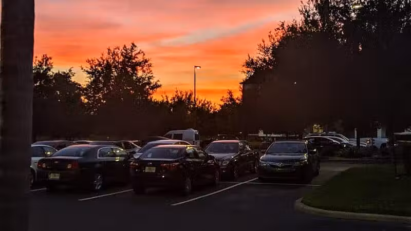 Vineyard Square Bark Park - Windermere, FL