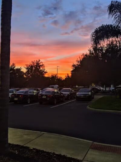 Vineyard Square Bark Park - Windermere, FL