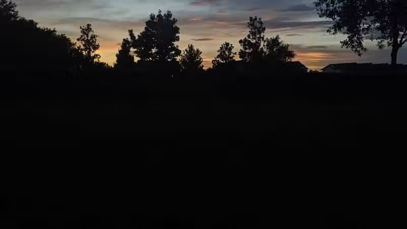 Vineyard Square Bark Park - Windermere, FL