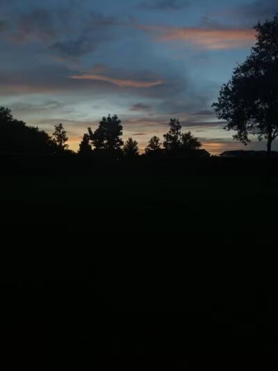 Vineyard Square Bark Park - Windermere, FL