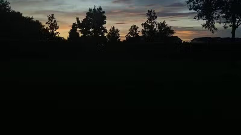 Vineyard Square Bark Park - Windermere, FL