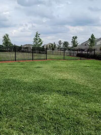 Vineyard Square Bark Park - Windermere, FL