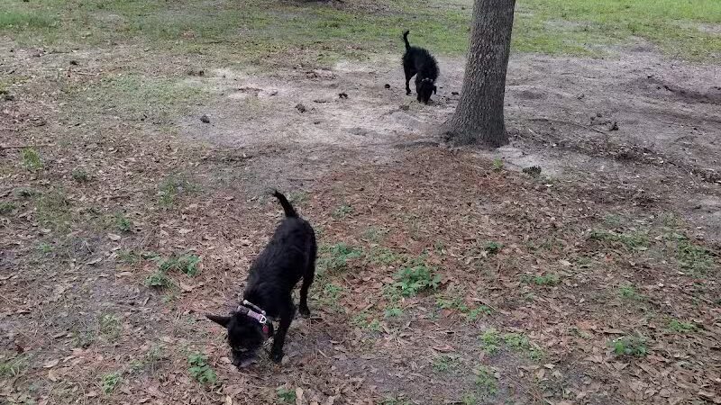 Summerport Park - Windermere, FL