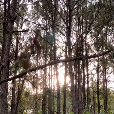 Summerport Park - Windermere, FL