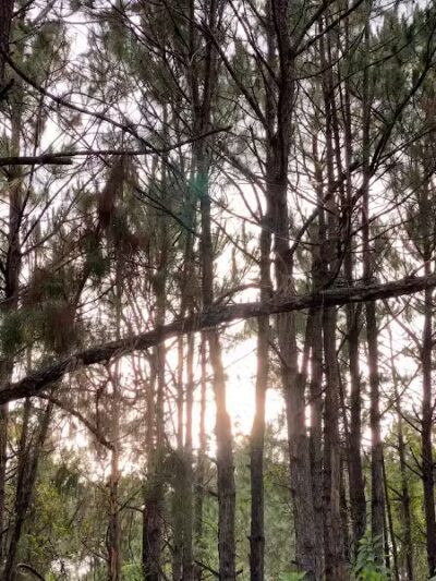 Summerport Park - Windermere, FL