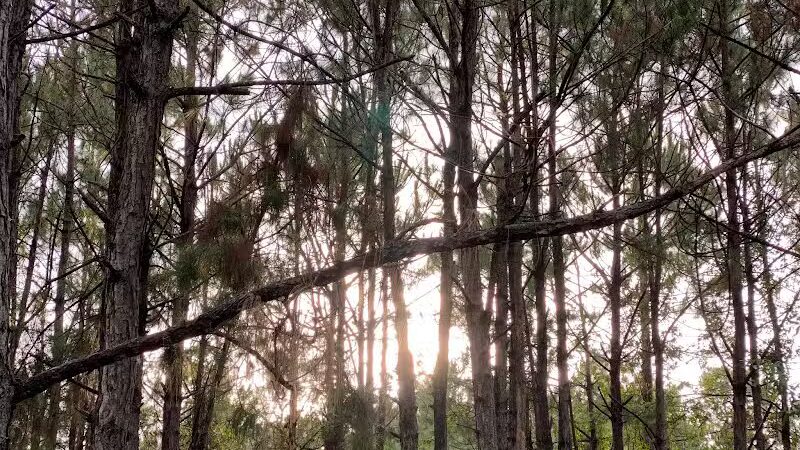 Summerport Park - Windermere, FL