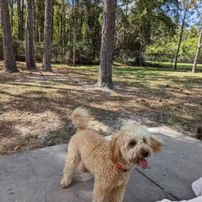 Summerport Park - Windermere, FL