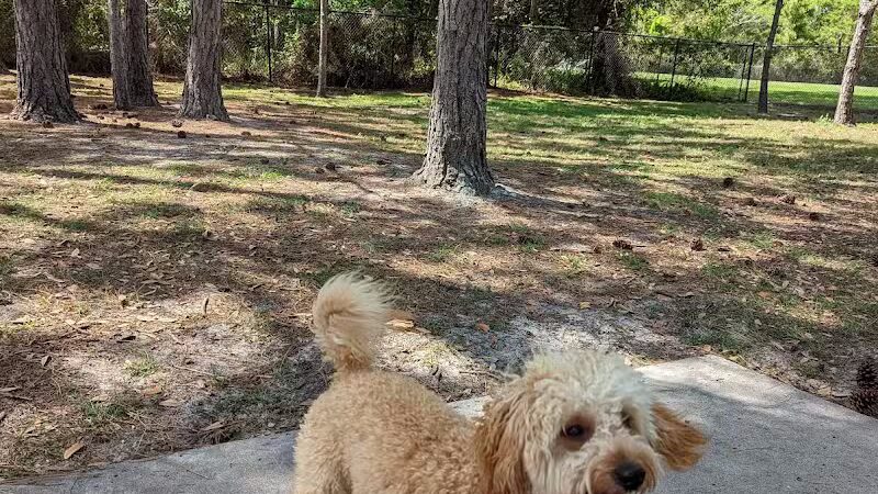 Summerport Park - Windermere, FL