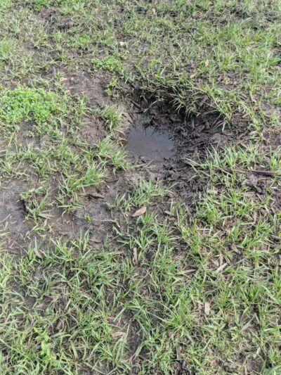 Summerport Park - Windermere, FL