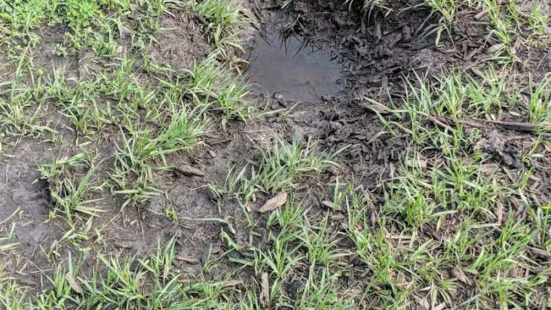 Summerport Park - Windermere, FL