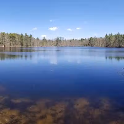 Donnabeth Lippman Park - Windham, ME