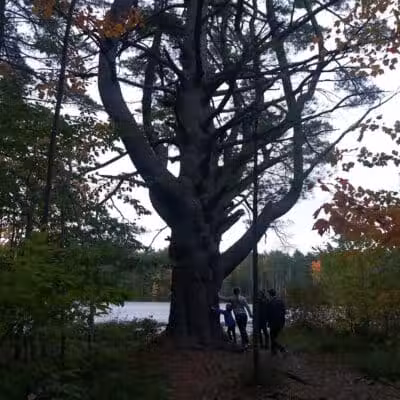 Donnabeth Lippman Park - Windham, ME