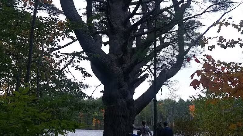 Donnabeth Lippman Park - Windham, ME