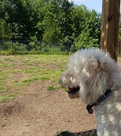 Windsor Dog Park