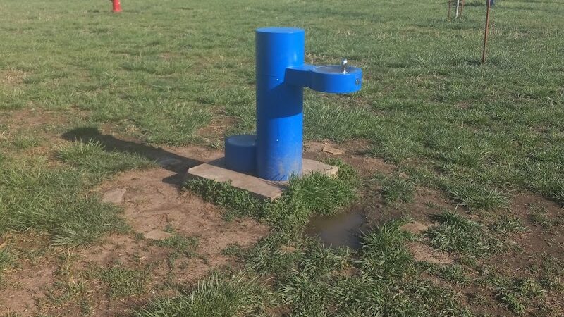 Bailey's Barking Dog Park - Winfield, KS