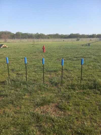 Bailey's Barking Dog Park - Winfield, KS