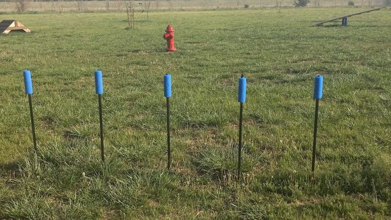 Bailey's Barking Dog Park - Winfield, KS