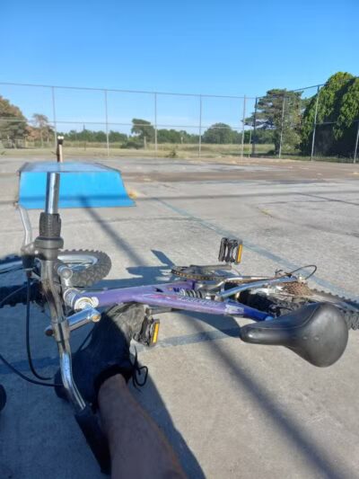 Bailey's Barking Dog Park - Winfield, KS