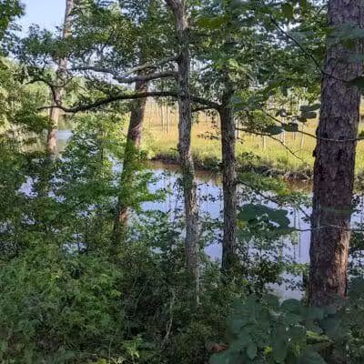 Brunswick Nature Park - Winnabow, NC