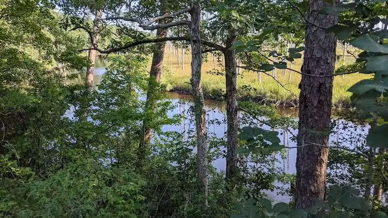 Brunswick Nature Park - Winnabow, NC
