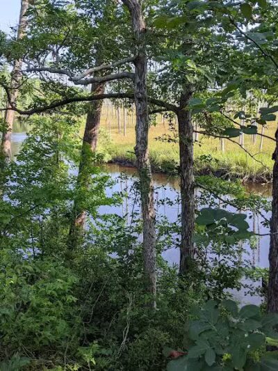 Brunswick Nature Park - Winnabow, NC