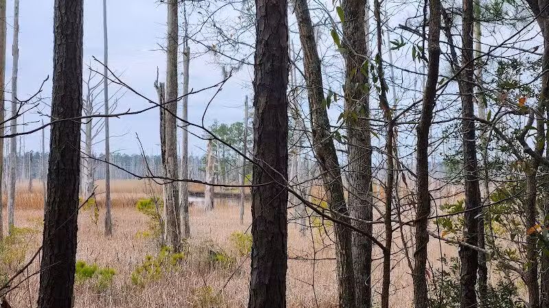 Brunswick Nature Park - Winnabow, NC