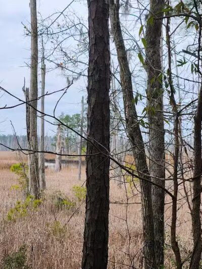 Brunswick Nature Park - Winnabow, NC