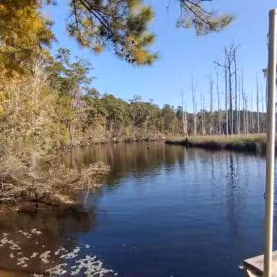 Brunswick Nature Park - Winnabow, NC
