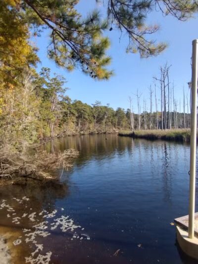 Brunswick Nature Park - Winnabow, NC