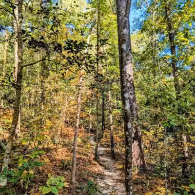 Brunswick Nature Park - Winnabow, NC