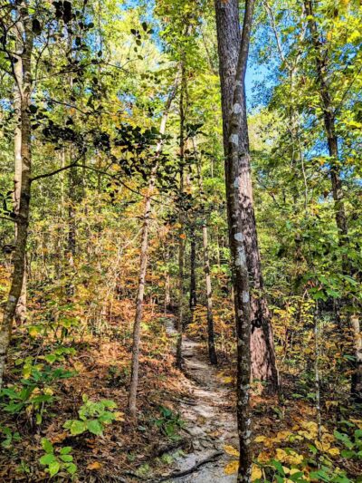 Brunswick Nature Park - Winnabow, NC
