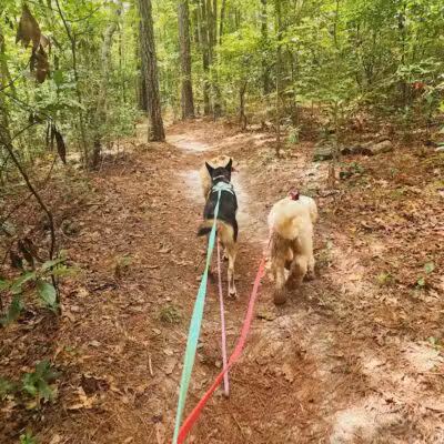 Brunswick Nature Park - Winnabow, NC